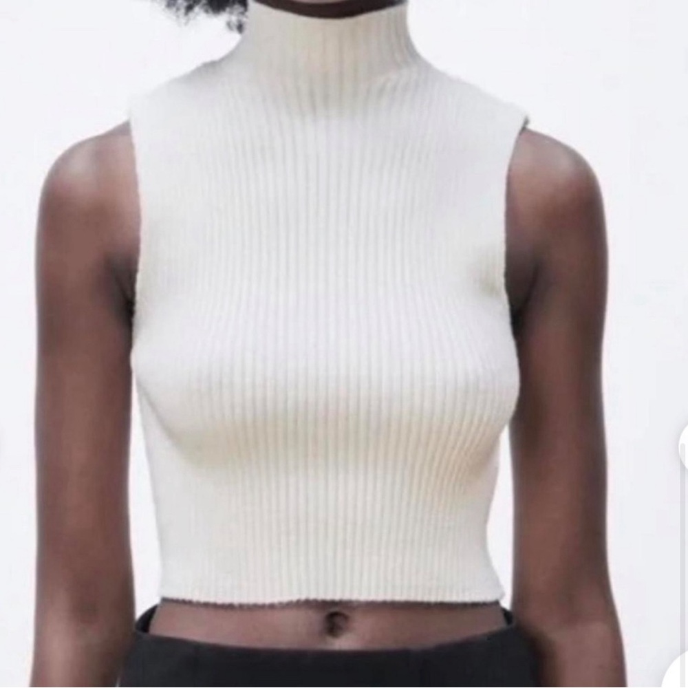 Zara Ripped Cropped Sleeveless Turtleneck